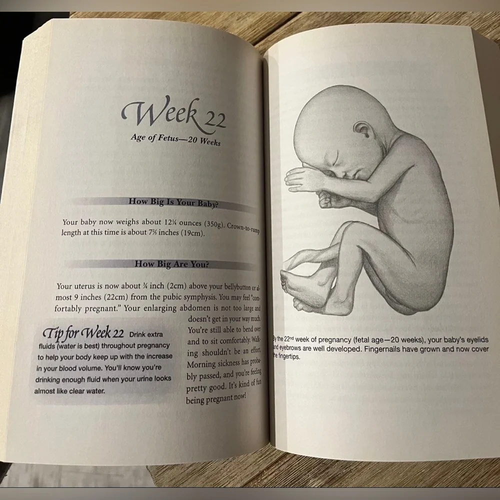 Your Pregnancy Week By Week Paperback Book Mom Mother Pregnant Baby Book Infant